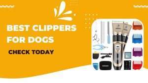 Best Clippers For Dogs