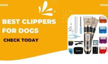Best Clippers For Dogs