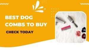 Best Dog Combs