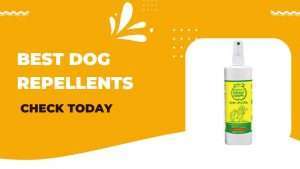Best Dog Repellents