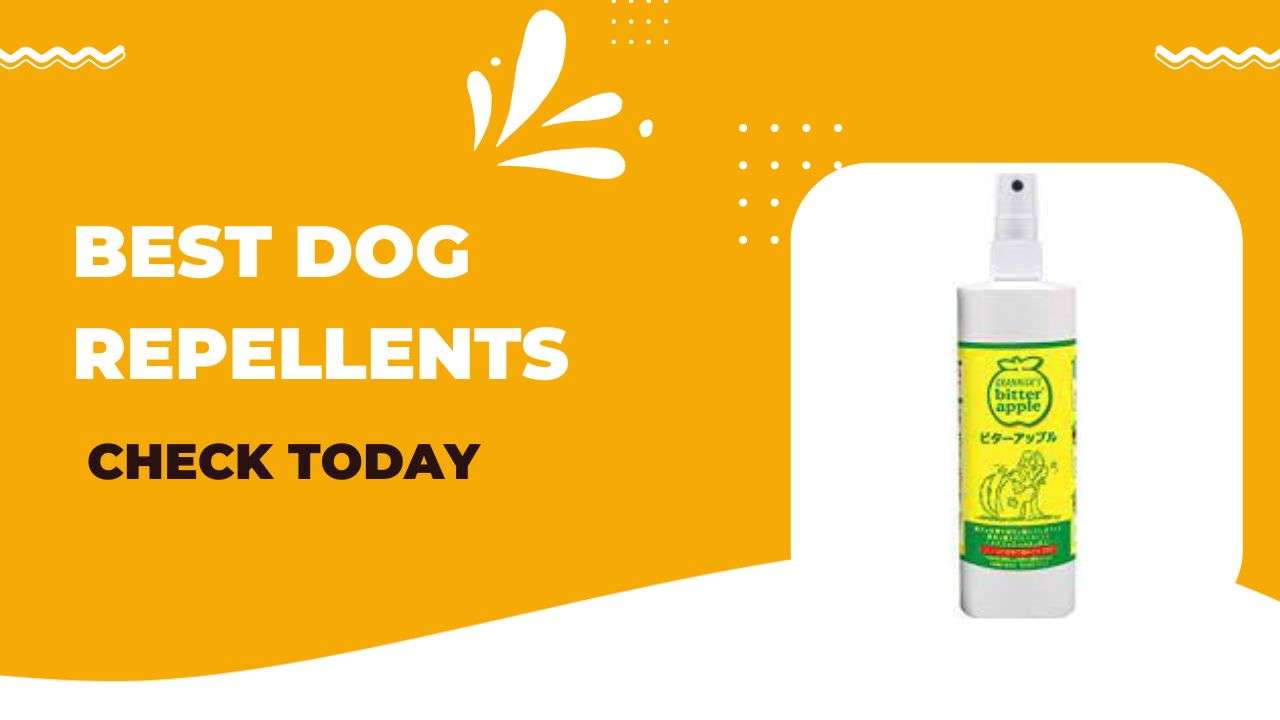 Best Dog Repellents
