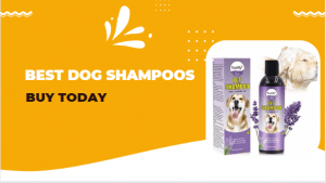 Best Dog Shampoos