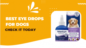 Best Eye Drops For Dogs