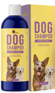 Colloidal Oatmeal Dog Shampoo