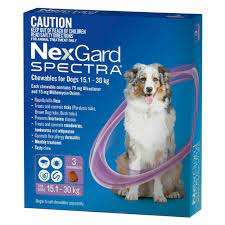 Nexgard Spectra dog wormers