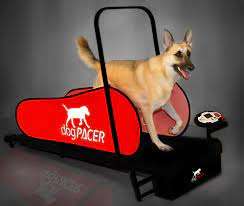 dogPACER LF 3.1