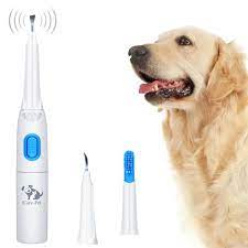 iCare-Pet Clinic Thermometer