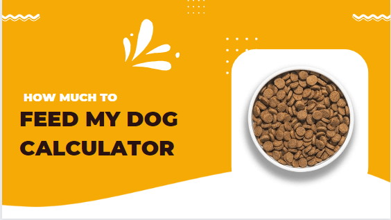 How Much To Feed My Dog Calculator