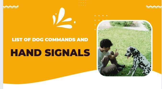 List of Dog Commands And Hand Signals