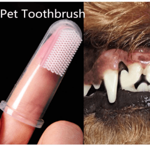 Dental Finger Brush for dog