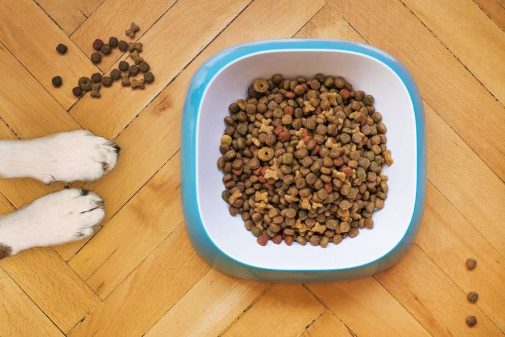 How to freeze-dried dog food(Proper guidance)3