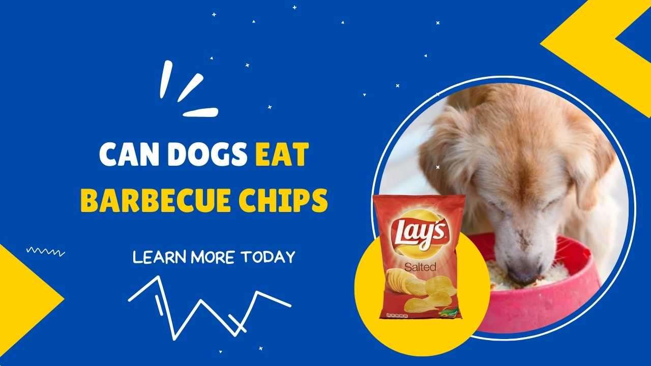 Can Dogs Eat Barbecue Chips