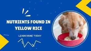 Nutrients Found in Yellow Rice