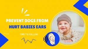 prevent dogs from   Hurt Babies Ears