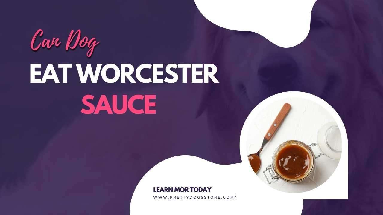 Can Dogs Eat Worcester Sauce
