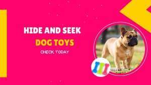 Hide and Seek Dog Toys