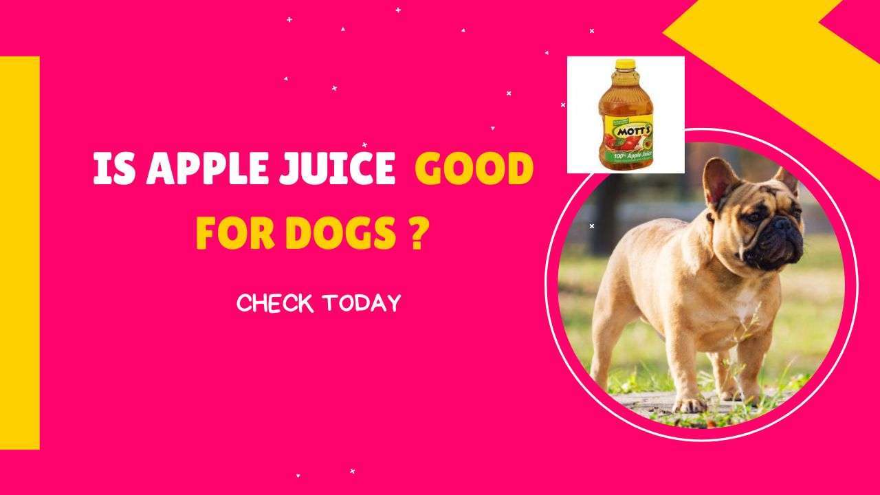 Is Apple Juice Good for Dogs